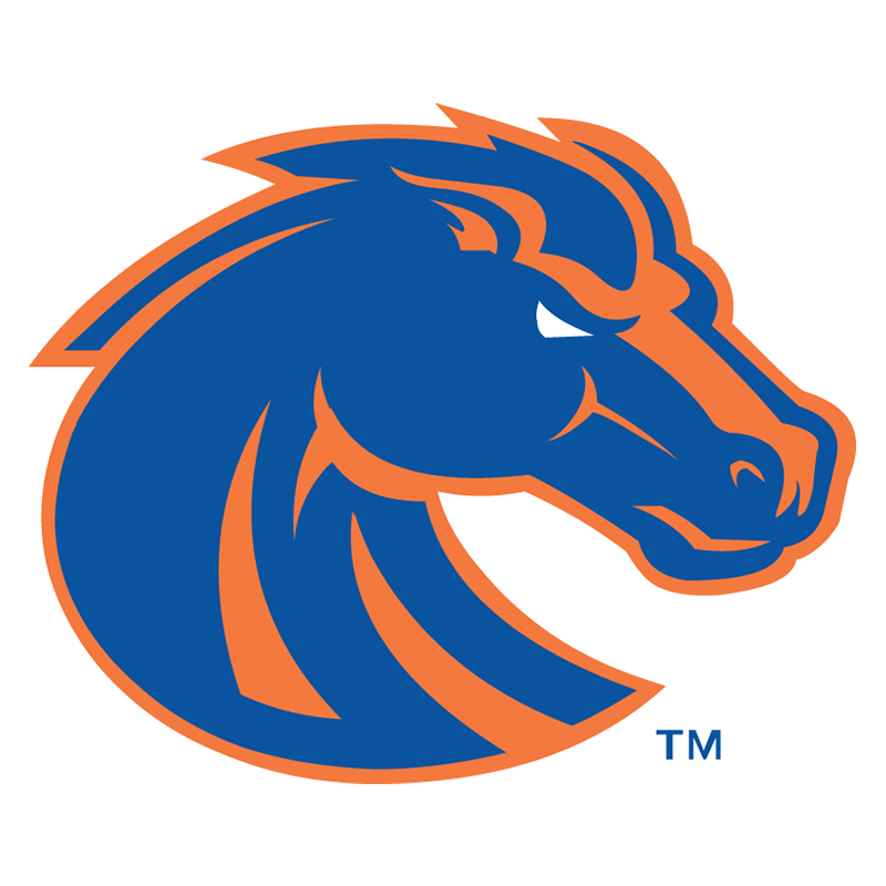 Boise State Broncos iron ons